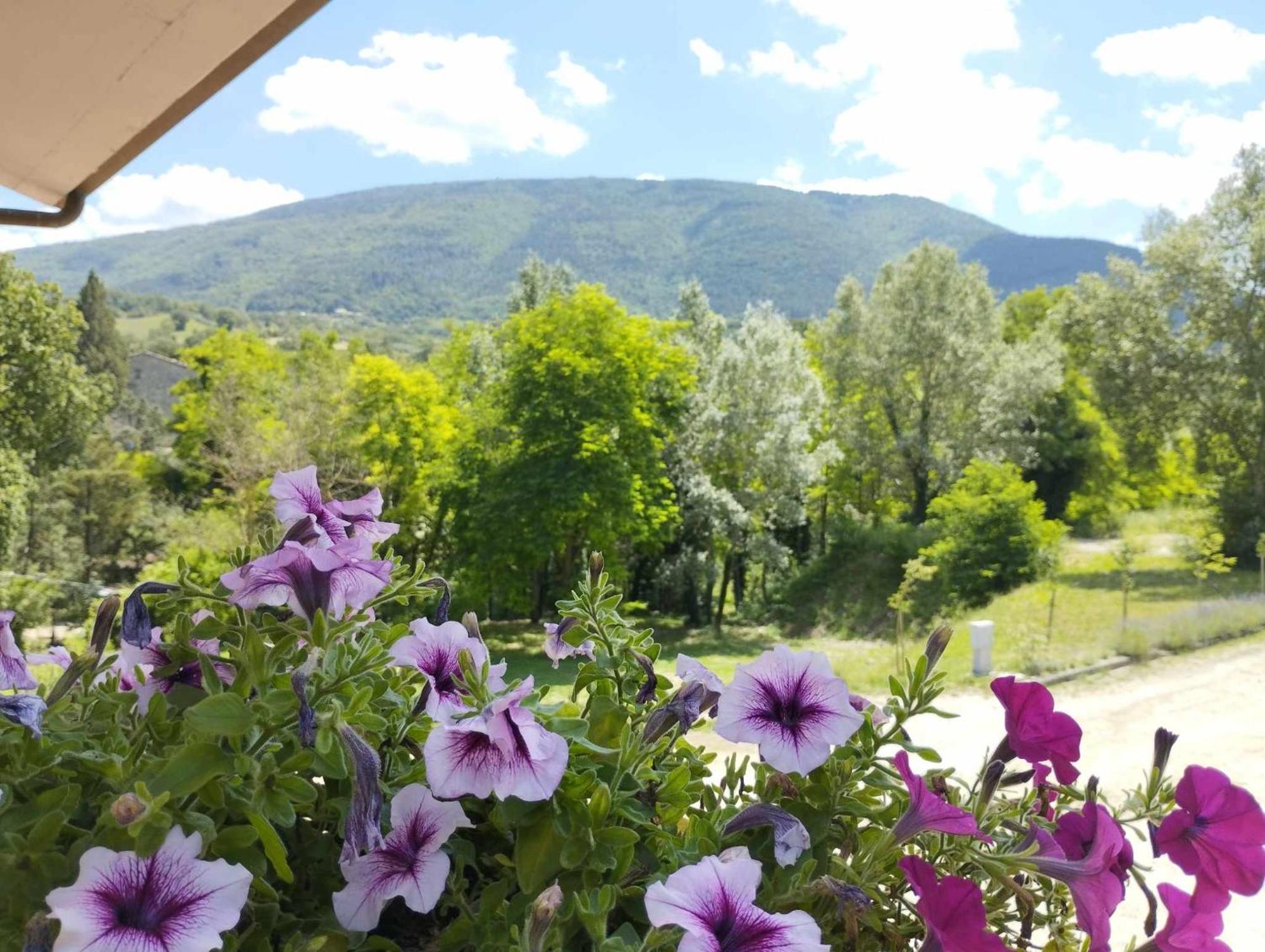 Pianpieve Nature & Relax Apartments アッシジ エクステリア 写真