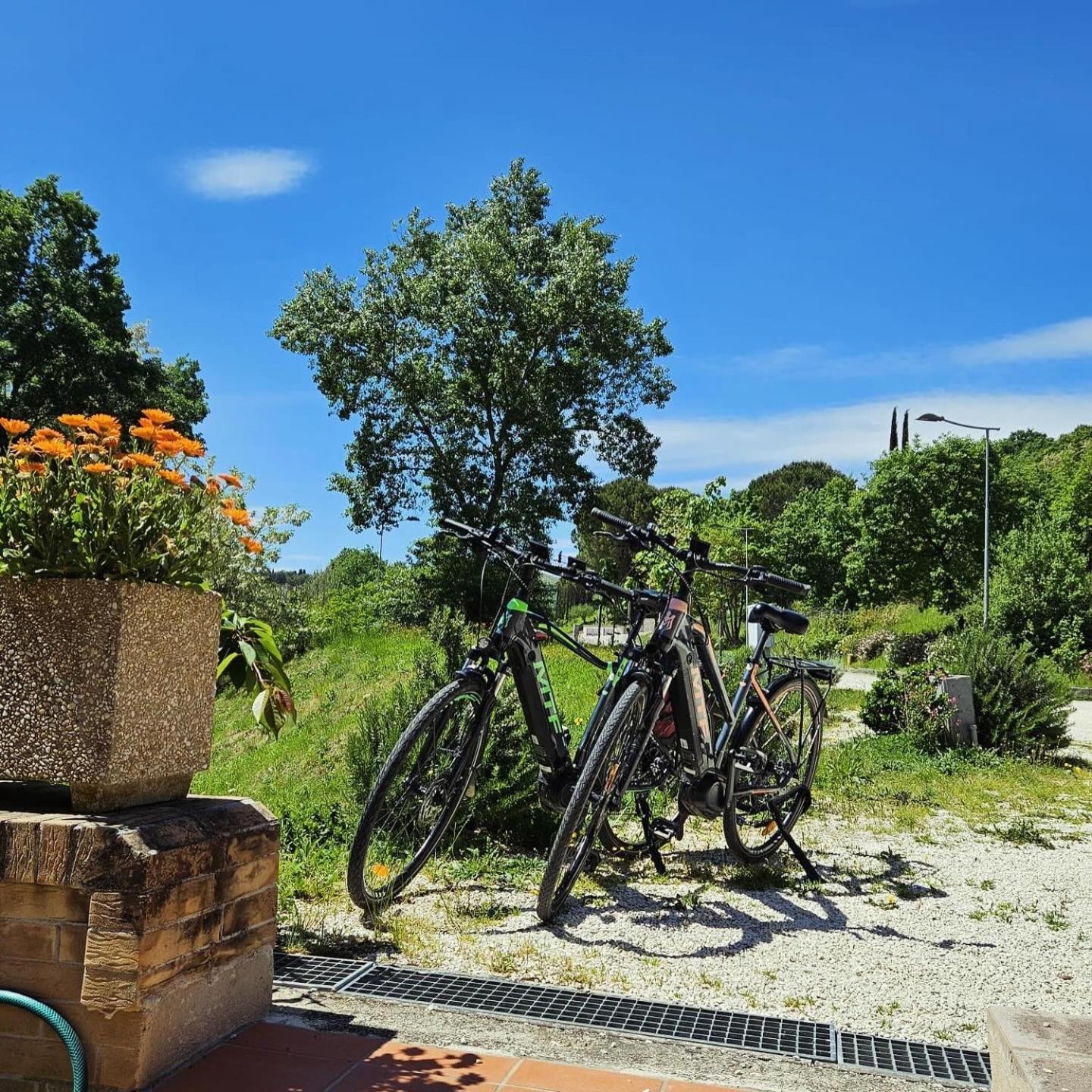 Pianpieve Nature & Relax Apartments アッシジ エクステリア 写真